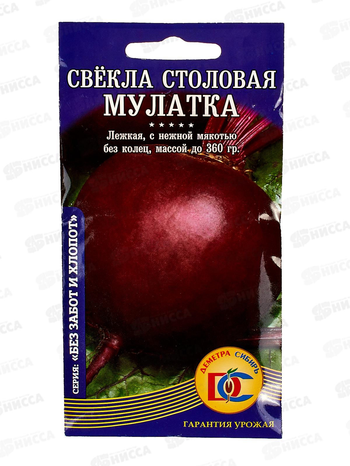 Свекла мулатка