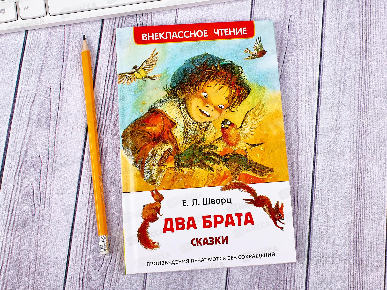 Рассказ два брата кратко. Шварц е. два брата Росмэн. Два брата Внеклассное чтение. Два брата книга. Сказка два брата книга Внеклассное чтение.