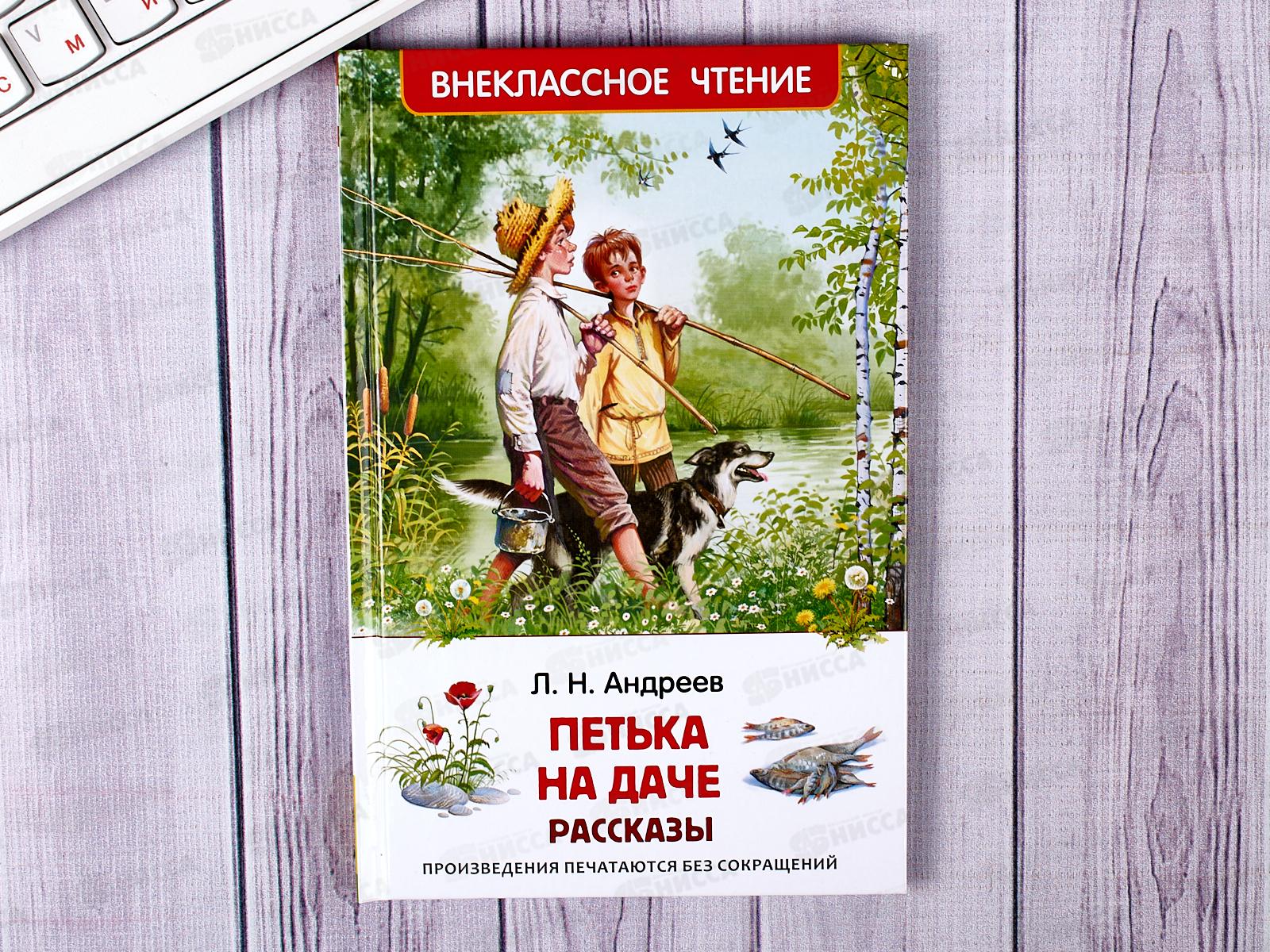 Дачные рассказы. Петька на даче. Петька на даче диктант. Рисунок к произведению Петька на даче. Вопросы к рассказу Петька на даче.