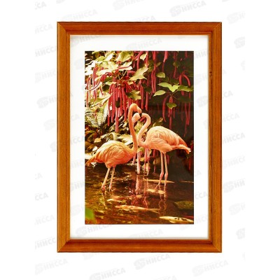 Фоторамка 21*30 клён, 2N92 *12 Фоторамка 21*30 клён, 2N92 *12
