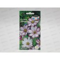 Космея Акулина (бипиннантус, белая с розовым кантом) (Евро,0,5) СеДек *10 +