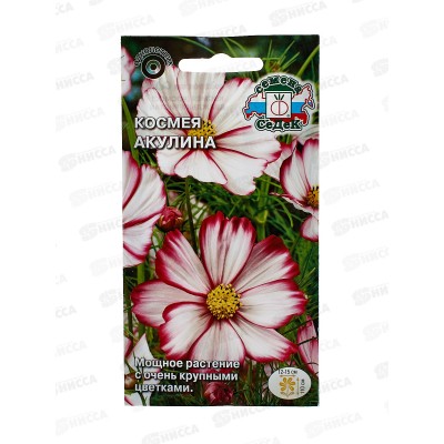 Космея Акулина (бипиннантус, белая с розовым кантом) (Евро,0,5) СеДек *10 +