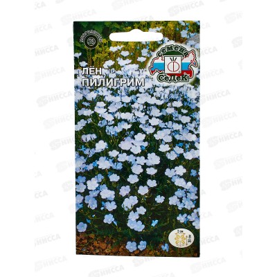 Лён Пилигрим (многолетняя, нежно-голубой) (Евро, 0,1) СеДек *10 + Лён Пилигрим (многолетняя, нежно-голубой) (Евро, 0,1) СеДек *10 +
