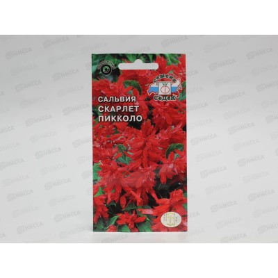Сальвия Скарлет пиколло (блестящая, низкорослая, красная) (Евро, 0,2) СеДек *10 + Сальвия Скарлет пиколло (блестящая, низкорослая, красная) (Евро, 0,2) СеДек *10 +