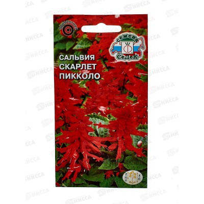 Сальвия Скарлет пиколло  (блестящая, низкорослая, красная) (Евро, 0,2) СеДек *10 +