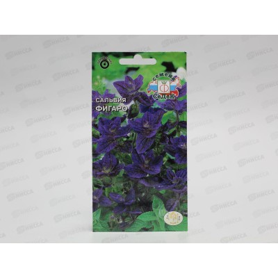 Сальвия Фигаро (хорминовая, темно-синяя) (Евро, 0,25) СеДек