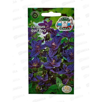 Сальвия Фигаро (хорминовая, темно-синяя) (Евро, 0,25) СеДек +