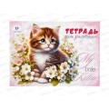 Альбом для рисования 12 листов ПГС Котята, офсетный *20 Альбом для рисования 12 листов ПГС Котята, офсетный *20