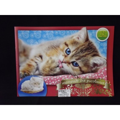 Альбом для рисования 12 листов ПГС Котята, офсетный *20 Альбом для рисования 12 листов ПГС Котята, офсетный *20