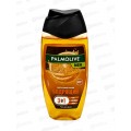 ПАЛМОЛИВ душ-гель 250мл 2в1 для мужчин Цитрусовый заряд *12 ПАЛМОЛИВ душ-гель 250мл 2в1 для мужчин Цитрусовый заряд *12