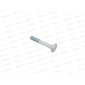Болт мебельный (DIN603) М8*120 (25штук)