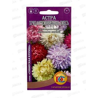 Астра Хризантемовидная смесь (0,2грамм) ДемСиб *10 +