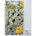 Алиссум Снежный ковер  (0,05гр) ДемСиб