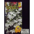 Лобелия плетистая Белый Фонтан (0,05гр) ДемСиб *10 +