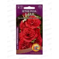 Шток-роза Алая (0,1грамм) *10 ДемСиб +