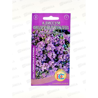 Алиссум Фиолетовая королева  (0,05гр) ДемСиб +