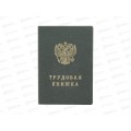 Бланк &quotТрудовая Книжка&quot нового образца *25/250
