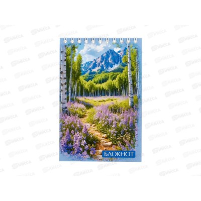 Блокнот 48листов ПГС Природа, 100*150,на гребне. *12 Блокнот 48листов ПГС Природа, 100*150,на гребне. *12