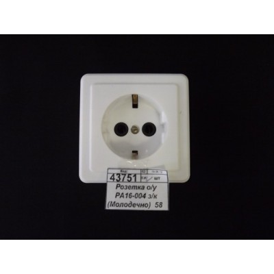 Розетка о/у РА16-004 з/к (Молодечно)  58    *45   ш