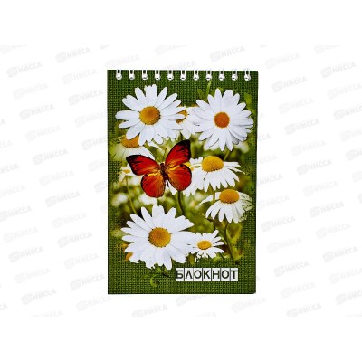 Блокнот 48листов ПГС Ромашка, 100*150,на гребне. *12 Блокнот 48листов ПГС Ромашка, 100*150,на гребне. *12