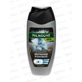 ПАЛМОЛИВ душ-гель 250мл 2в1 для мужчин Арктический ветер *12 ПАЛМОЛИВ душ-гель 250мл 2в1 для мужчин Арктический ветер *12