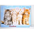 Альбом для рисования 24 листа ПГС Котята скреп.*20