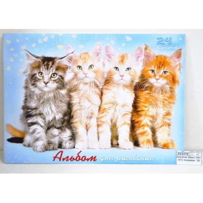Альбом для рисования 24 листа ПГС Котята скреп.*20 Альбом для рисования 24 листа ПГС Котята скреп.*20