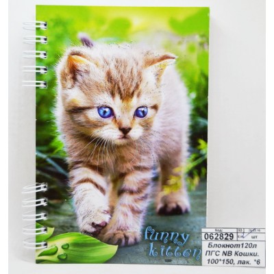 Блокнот120листов ПГС NB Кошки. 100*150, лакированный. *6