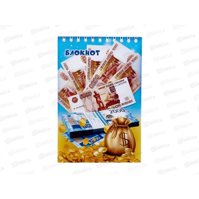 Блокнот 48листов ПГС Деньги, 100*150, на  гребне. *12