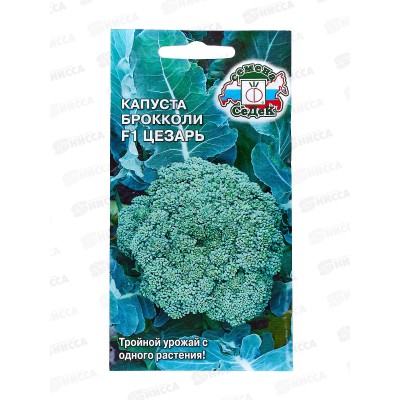 Капуста Цезарь F1 БРОККОЛИ (Евро, 0,3 9861) СеДек Капуста Цезарь F1 БРОККОЛИ (Евро, 0,3 9861) СеДек