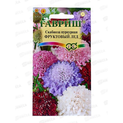 Скабиоза пурпурная Фруктовый лед махровая смесь 0,3 грамма  Н12  *10 ГШ +