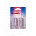 Батарейки МИНАМОТО LR6 BP-2 *2/24/288 Батарейки МИНАМОТО LR6 BP-2 *2/24/288