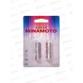 Батарейки МИНАМОТО LR03 BP-2 *2/24/288 Батарейки МИНАМОТО LR03 BP-2 *2/24/288