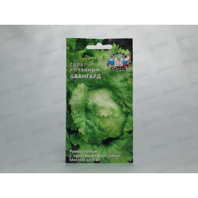 Салат Авангард (айсберг) (Евро, 0,5 5793) СеДек Салат Авангард (айсберг) (Евро, 0,5 5793) СеДек