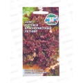 Салат Краснолистный Летний (листовой) (Евро, 0,5 9739) СеДек + Салат Краснолистный Летний (листовой) (Евро, 0,5 9739) СеДек +