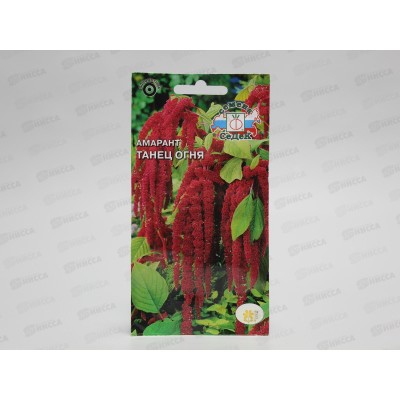 Амарант Танец огня (хвостатый) (Евро, 0,1) СеДек +