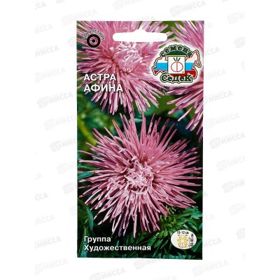 Астра Афина (игольчатая аметистовая) (Евро, 0,2) СеДек *10 +