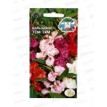 Бальзамин Том Там (садовый,смесь цветов) (Евро, 0,2) СеДек *10 + Бальзамин Том Там (садовый,смесь цветов) (Евро, 0,2) СеДек *10 +