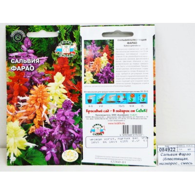 Сальвия Фарао (блестящая, низкорослая, смесь цветов) (Евро, 0,1) СеДек + Сальвия Фарао (блестящая, низкорослая, смесь цветов) (Евро, 0,1) СеДек +