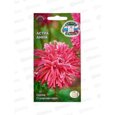 Астра Анна (страусовое перо красная) (Евро, 0,2) СеДек *10 + Астра Анна (страусовое перо красная) (Евро, 0,2) СеДек *10 +