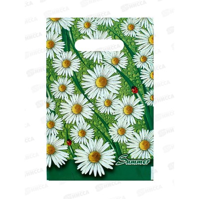 Пакет пробивной 20*30 Лето МЕЛКИЙ*100/2000