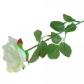 Цветы искусственные роза 56см d-8,5 белая  482689 *10