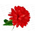 Цветы искусственные пион 46см d-14 красный 652049 *10 Цветы искусственные пион 46см d-14 красный 652049 *10