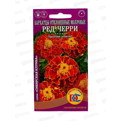 Бархатцы Ред Черри отклоненные махровые (0,2гр) ДемСиб *10 +