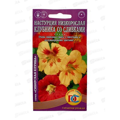 Настурция клубника со сливками низкорослая  (5штук) *10 ДемСиб +