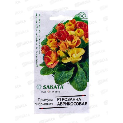 СРОК ДО Примула Розанна абрикосовая F1 махровая 4 штуки  Саката серия Экслюзив Н13  *5 СРОК 12.25