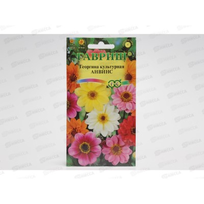 Георгина Анвинс смесь 0,3 грамм Н9 *10 ГШ + Георгина Анвинс смесь 0,3 грамм Н9 *10 ГШ +