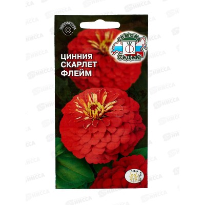 Цинния Скарлет флейм (георгиновидная, огненно-красная) (Евро, 0,5) СеДек *10 +