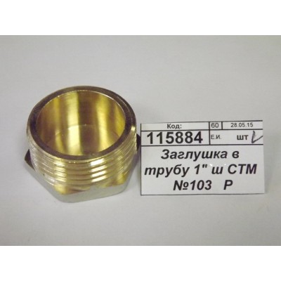 Заглушка в трубу 1&quot штуцер СТМ *10/200