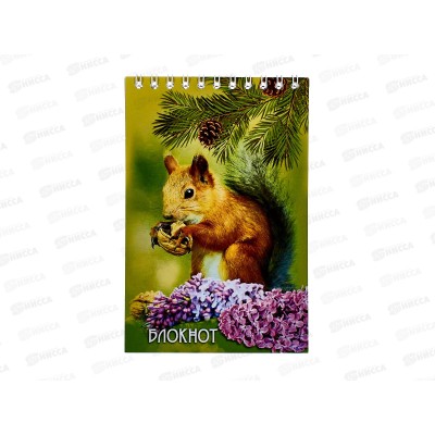 Блокнот 48листов ПГС Животный мир, 100*150,на гребне. *12 Блокнот 48листов ПГС Животный мир, 100*150,на гребне. *12